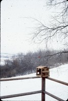 Bird feeder.
