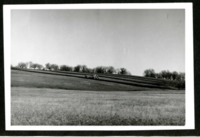Land Grader in the Field
