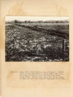 1934 - 1938 Multi-State Photograph Collection  
