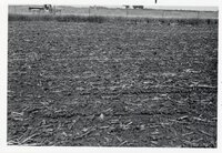 1976 Rural Scenes Photos by the Des Moines County Soil Conservation District
