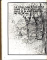 1980 Yearbook