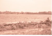 Fenced farmland with Water in the Field