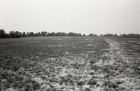 Photos of Pasture Land