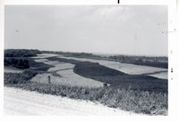 Strip cropping on Duane Marvin farm, 1977