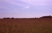 Larry Braby's Farm Before and After a Wetland Construction Project.