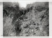 Ravine Created by Erosion<br />
<br />
<br />
