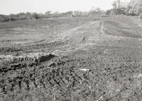 Scenes of Bare Cropland