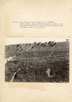 1934 - 1938 Multi-State Photograph Collection  