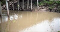 1999 Bridge over Flint River