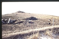 Erosion damage in a livestock pasture.