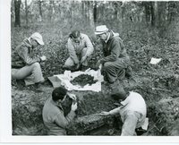 Soil survey correlation, 1969