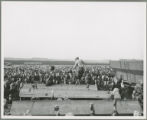 Ellsworth Iowa turkey farm, 1950
