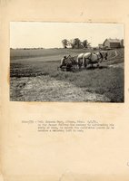 1934 - 1938 Multi-State Photograph Collection  