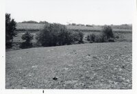 1977  Area for Bill Gitting Pond before it was built