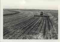 Gil Winter cultivating the field on a tractor