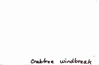 Crabtree windbreak