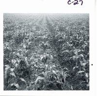 Soil erosion, 1969
