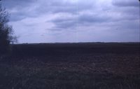 Watershed on the Cory Farm.