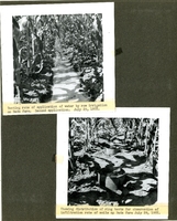 0236.   Beda Farm Irrigation Test 