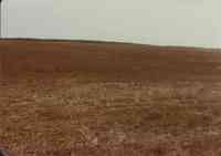 H. Tooker Structure Site