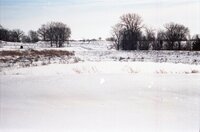 Snowy fields
