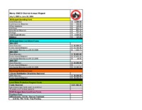 Financial Annual Report, 2006