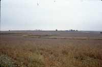 Ken Carney's farmland with terraces.
