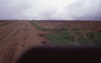 Erosion on the Staab farm in Cherokee County, Iowa. 