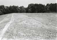 1995 Terraces Being Built on Dale Edmonds Farm