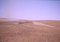 Brown field 