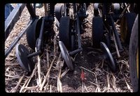 No-till Field.