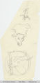 [Tissue Sketches 356]