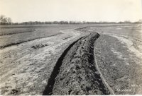 1938? -A terrace  has been plowed to maintain it's shape and height