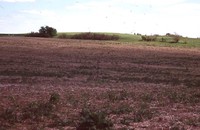 Larry Braby's Farm Before and After a Wetland Construction Project.