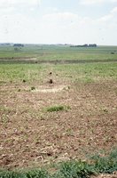State Conservation Award given to Larry Knaack's farm property.  