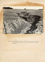 1934 - 1938 Multi-State Photograph Collection  