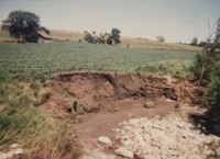 Erosion on Painters Creek at 30th Ave, on Phil McCrea's Farm.