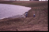Wetland Restoration Project.