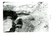 Water Rushing Down Road, 1965