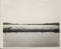 Flood Waters on John Wavick's Farm.
