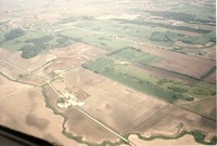 Carstensen feedlot