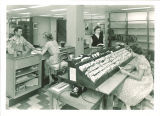 Main Library Circulation Department staff and a patron, the University of Iowa, July 16, 1954