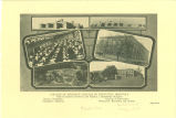College of Medicine, College of Dentistry, hospitals, The University of Iowa, 1929