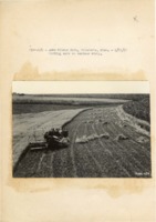 1937 - Cutting oats on contour strip
