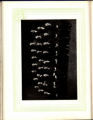 1917 Yearbook