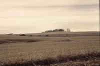 Farmland after harvest