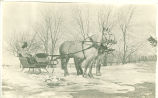 Woman wearing hat sitting in horse-drawn sleigh, Iowa, 1910s