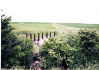 Cattle panel outlet structure