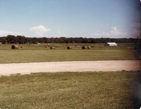 Hay Bales in  Field in Front of Rural Road