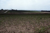 Conservation progress on Jim Fassler's farm.